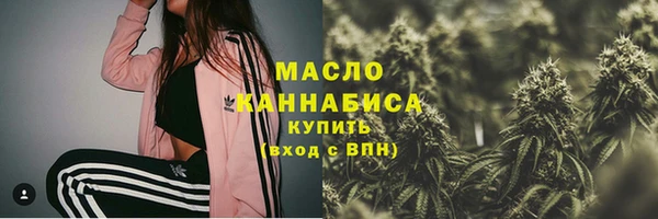 мдпв Заводоуковск
