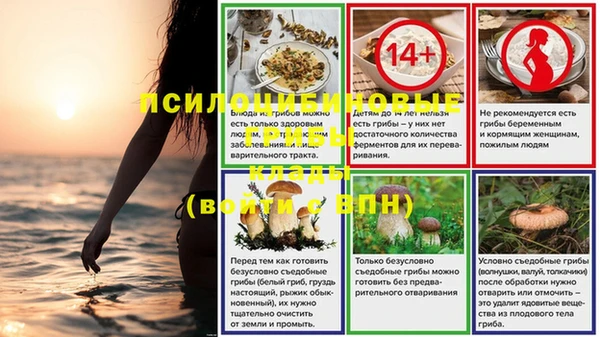 ГАЛЛЮЦИНОГЕННЫЕ ГРИБЫ Беломорск